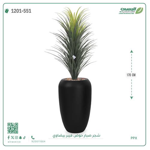 شجر صبار صناعية ( ارتفاع 170 سم ) حوض فيبر