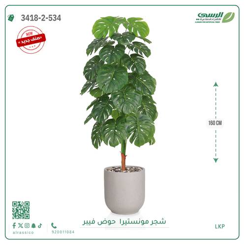 شجرة مونستيرا صناعية ( ارتفاع 160 سم ) حوض فيبر