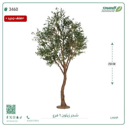 شجر زيتون صناعية ( ارتفاع 250 سم ) قاعدة أرضيه