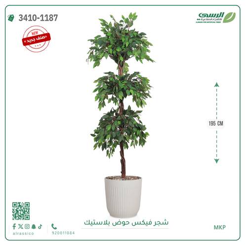 شجر فيكس صناعية ( ارتفاع 195 سم ) حوض بلاستك