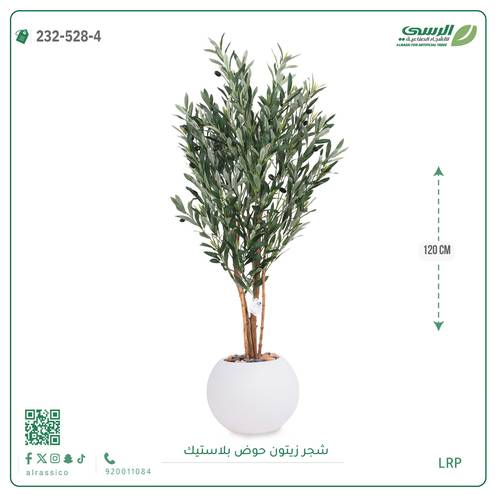شجرة زيتون اصطناعية (4 فروع) بمركن بلاستيك دائرى 