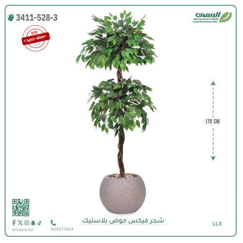شجر فيكس صناعية ( ارتفاع 170 سم ) حوض بلاستيك
