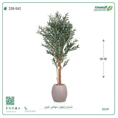 شجرة زيتون صناعية ( ارتفاع 165 سم ) حوض فيبر