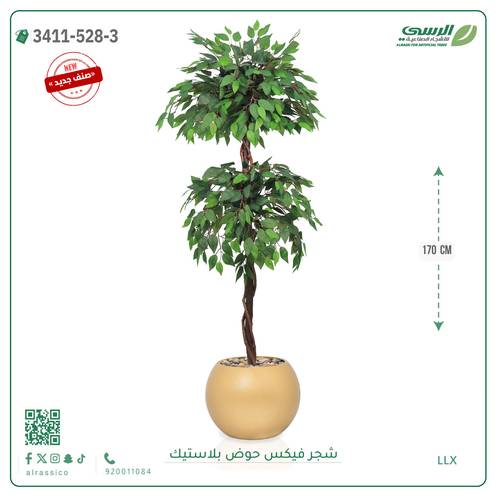 شجر فيكس صناعية ( ارتفاع 170 سم ) حوض بلاستيك