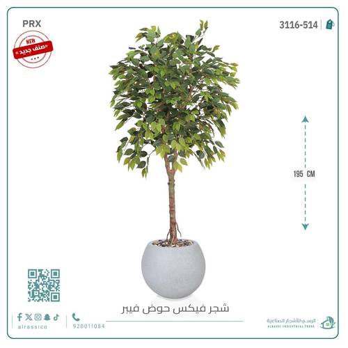شجرة فيكس صناعية بحوض فيبر