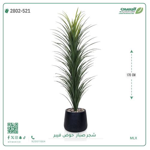 شجرة صبار صناعية ( ارتفاع 170 سم ) حوض فيبر