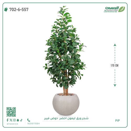 شجر ليمون صناعية ( ارتفاع 170 سم ) حوض فيبر