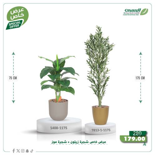 عرض شجرة زيتون صناعية ( ارتفاع 175 سم ) + شجرة ورق موز صناعية ( ارتفاع 75 سم ) حوض بلاستيك