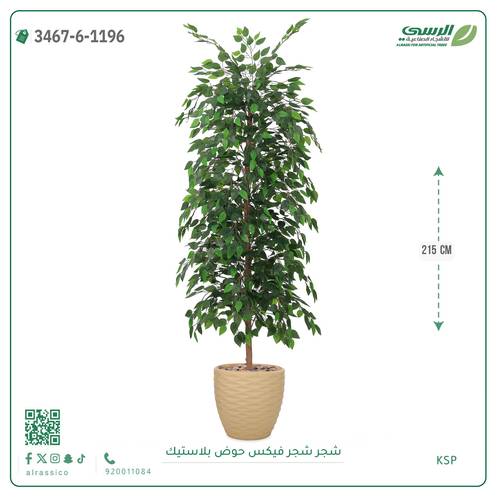 شجرة فيكس صناعية ( ارتفاع 215 سم ) حوض بلاستك