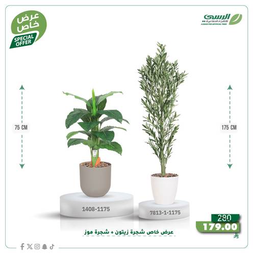 عرض شجرة زيتون صناعية ( ارتفاع 175 سم ) + شجرة ورق موز صناعية ( ارتفاع 75 سم ) حوض بلاستيك