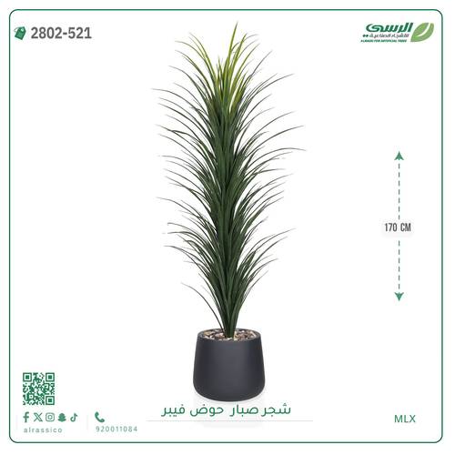 شجرة صبار صناعية ( ارتفاع 170 سم ) حوض فيبر
