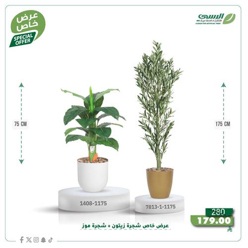عرض شجرة زيتون صناعية ( ارتفاع 175 سم ) + شجرة ورق موز صناعية ( ارتفاع 75 سم ) حوض بلاستيك