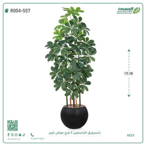 شجرة ورق ياسمين صناعية ( ارتفاع 175 سم ) حوض فيبر مقلم
