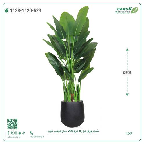 شجرة ورق موز صناعية (ارتفاع 220 سم) حوض فيبر