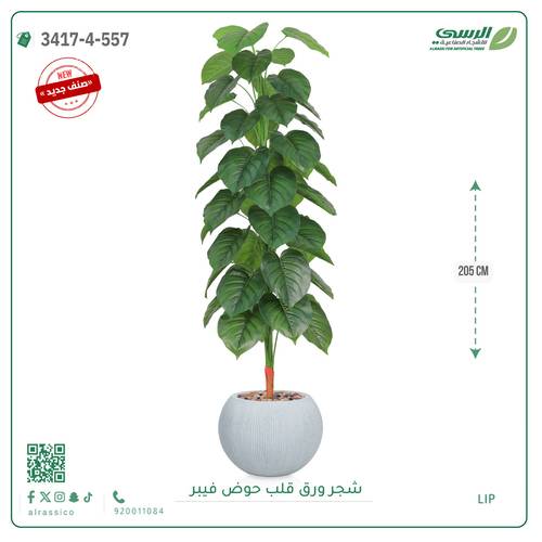 شجرة ورق قلب اصطناعية ( ارتفاع 205 سم ) حوض فيبر
