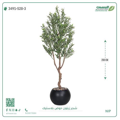 شجرة زيتون اصطناعية (4 فروع) بمركن بلاستيك دائرى 