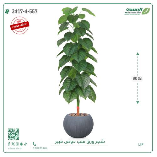 شجرة ورق قلب اصطناعية ( ارتفاع 205 سم ) حوض فيبر