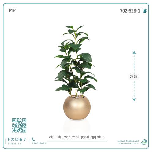  شتلة ورق ليمون اصطناعية بمركن بلاستيك دائري
