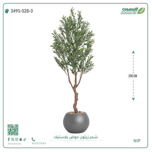 شجرة زيتون اصطناعية (4 فروع) بمركن بلاستيك دائرى 