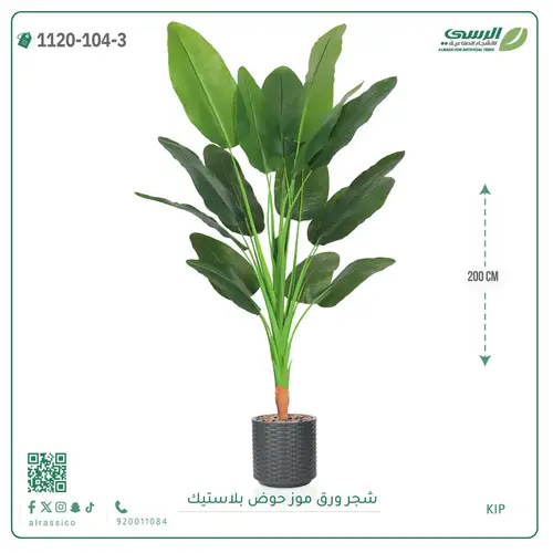 شجرة موز صناعية ( ارتفاع 200 سم ) حوض بلاستيك