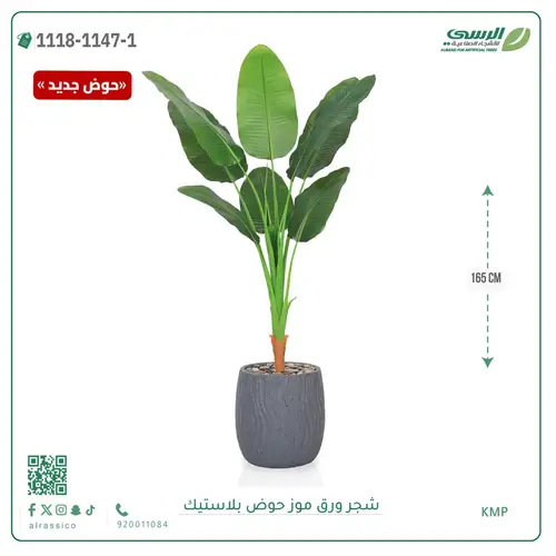 شجرة موز صناعية ( ارتفاع 165 سم ) حوض بلاستيك