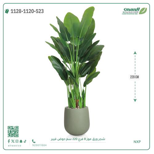 شجرة ورق موز صناعية (ارتفاع 220 سم) حوض فيبر