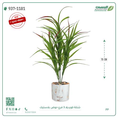 شجر كورديلا صناعية ( ارتفاع 75 سم ) حوض بلاستك