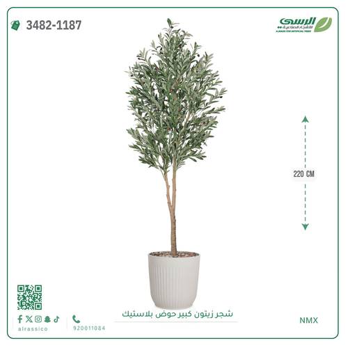شجرة زيتون صناعية ( ارتفاع 220 سم ) حوض بلاستك
