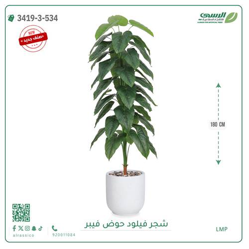 شجرة فيلود صناعية ( ارتفاع 180 سم ) حوض فيبر