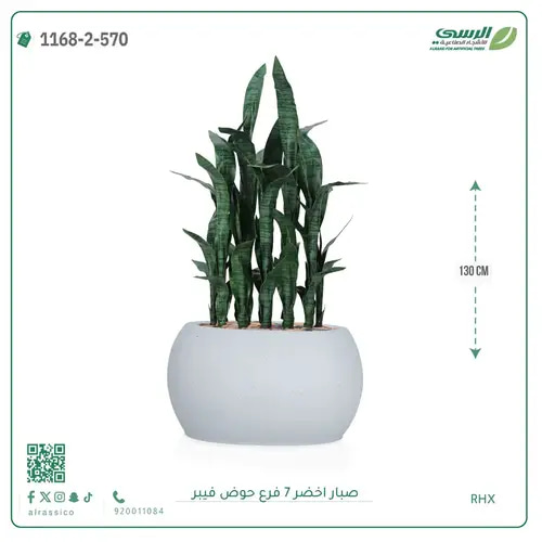 صبار صناعية ( ارتفاع 130 سم ) حوض فيبر