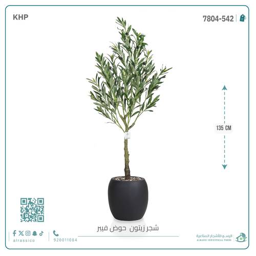 شجره زيتون اصطناعية بمركن فيبر اسطوانى صغير 