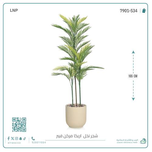 نخل أريكا اصطناعية (3 فرع) بمركن فيبر  أسطواني