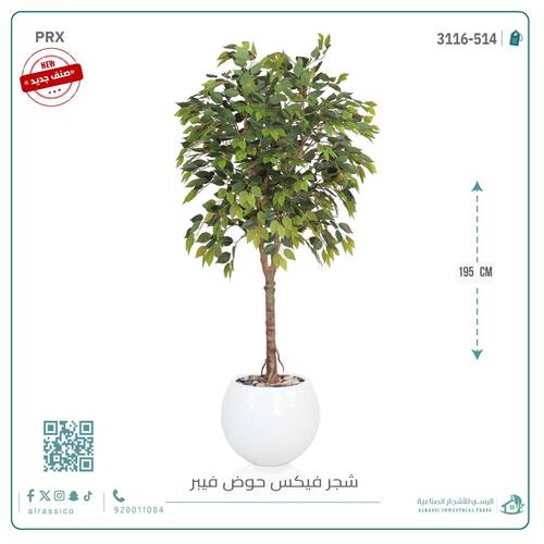 شجرة فيكس صناعية بحوض فيبر