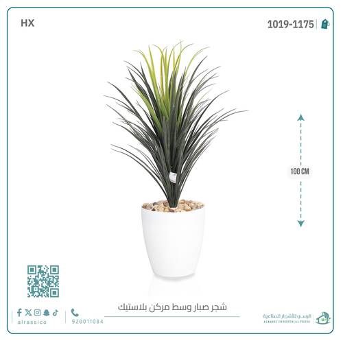 شجرة صبار اصطناعى بمركن بلاستيك اسطوانى