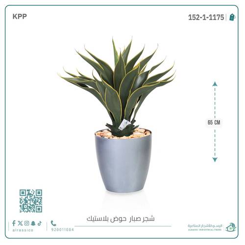 صبار ذيل الثعلب الصناعي بمركن بلاستيك اسطوانى 
