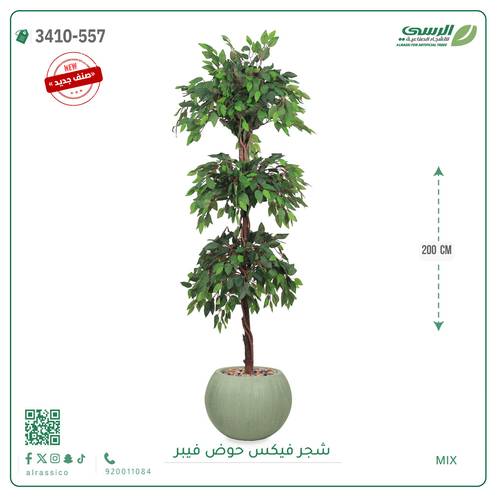 شجر فيكس صناعية ( ارتفاع 200 سم ) حوض فيبر