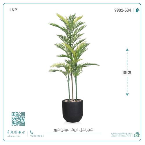 نخل أريكا اصطناعية (3 فرع) بمركن فيبر  أسطواني