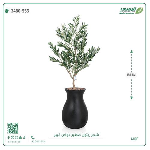 شجرة زيتون اصطناعية ( ارتفاع 160 سم ) حوض فيبر