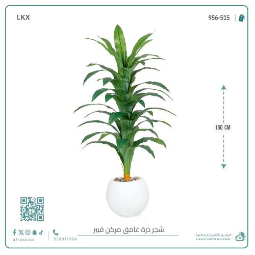 شجرة نبات الذرة (دراسينا) الاصطناعية بمركن فيبر 