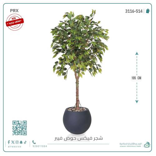 شجرة فيكس صناعية بحوض فيبر