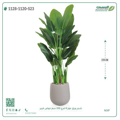 شجرة ورق موز صناعية (ارتفاع 220 سم) حوض فيبر