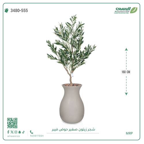 شجرة زيتون اصطناعية ( ارتفاع 160 سم ) حوض فيبر
