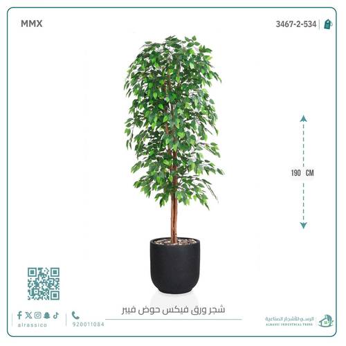 شجرة ورق فيكس اصطناعية بمركن فيبر  أسطواني