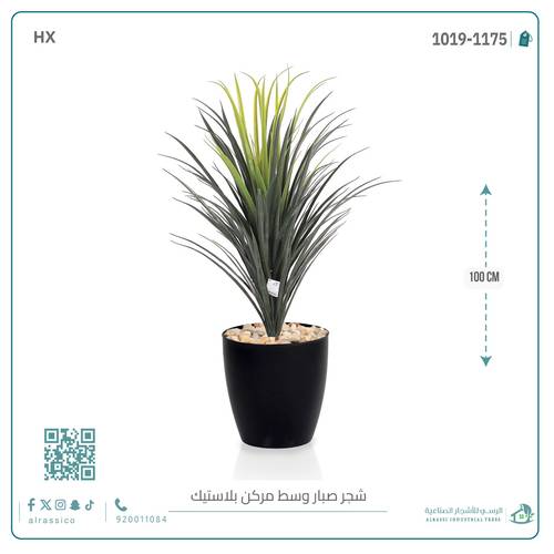 شجرة صبار اصطناعى بمركن بلاستيك اسطوانى