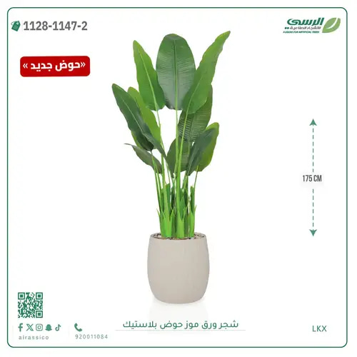 شجرة موز صناعية ( ارتفاع 175 سم ) حوض بلاستيك