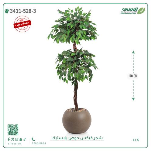 شجر فيكس صناعية ( ارتفاع 170 سم ) حوض بلاستيك