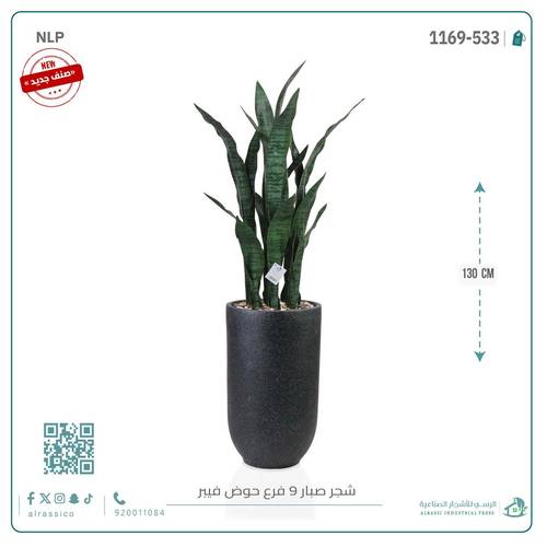 صبار جلد النمر الأخضر بحوض فيبر