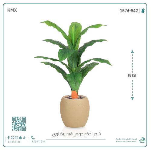 شجرة ورق موز حوض فيبر بيضوي