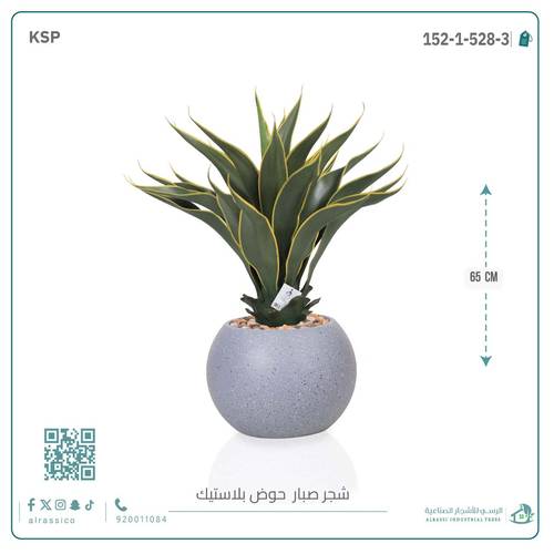 صبار ذيل الثعلب الصناعي بمركن بلاستيك دائرى  