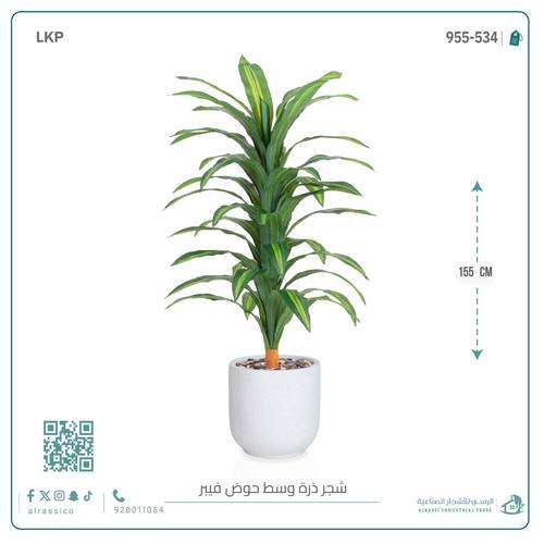  شجرة نبات الذرة (دراسينا) الاصطناعية كبيرة بمركن فيبر  أسطواني 